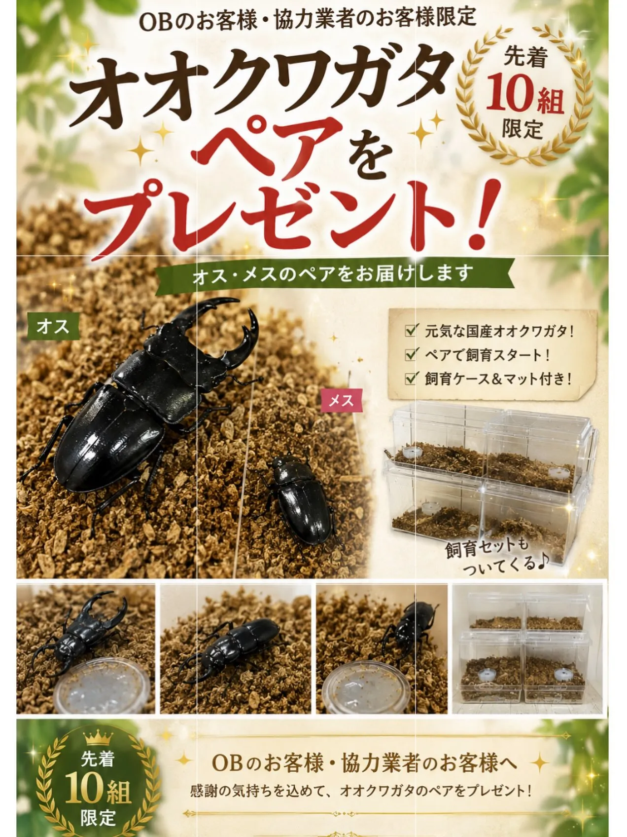 🎁 感謝企画🎁