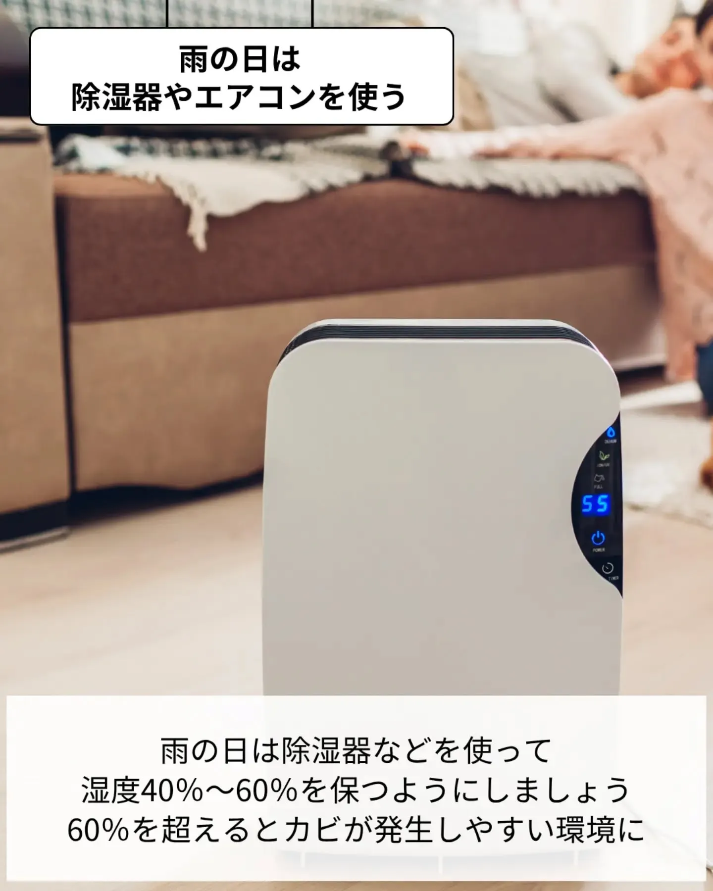 家づくりで大切なのは、住んでからの快適さ🌿